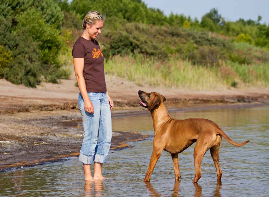 Sabine Bremer - Hundeschule Markkleeberg